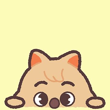Stray Kids ハン ジソン HAN QUOKKA SKZOO HAN QUOKKA | Stray Kids Wiki | Fandom