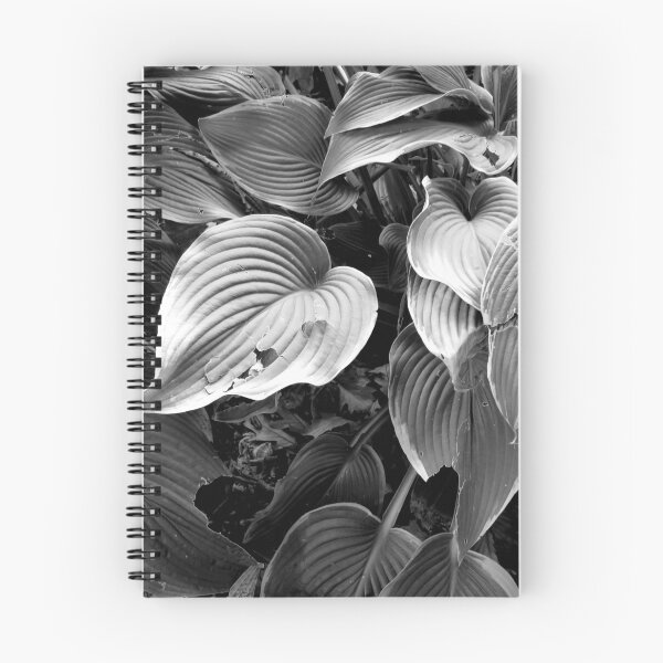 Item preview, Hojas n. ° 1 designed and sold by dps7777.