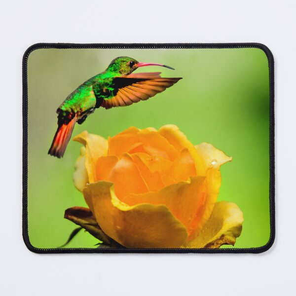 Item preview, Just Peachy designed and sold by alabca.
