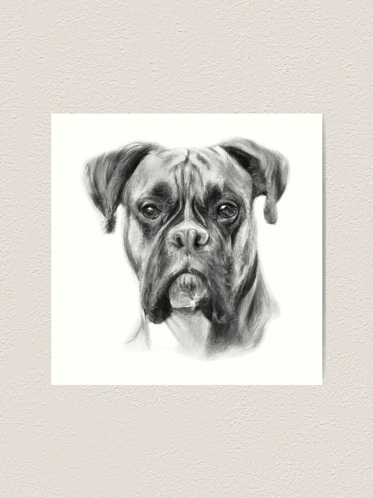 Boxer Dog Art - Watch Leah's Drawing Online - ItsaBoxerDogsLife