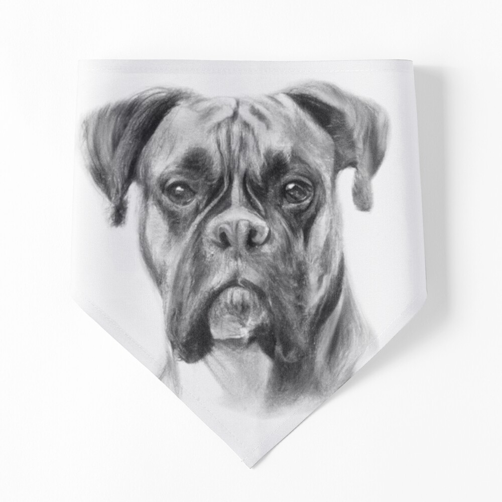 Boxer Dog Art - Watch Leah's Drawing Online - ItsaBoxerDogsLife