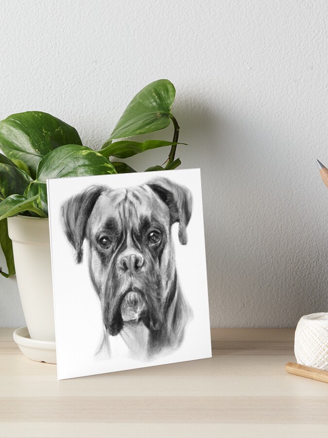 Boxer Dog Art - Watch Leah's Drawing Online - ItsaBoxerDogsLife