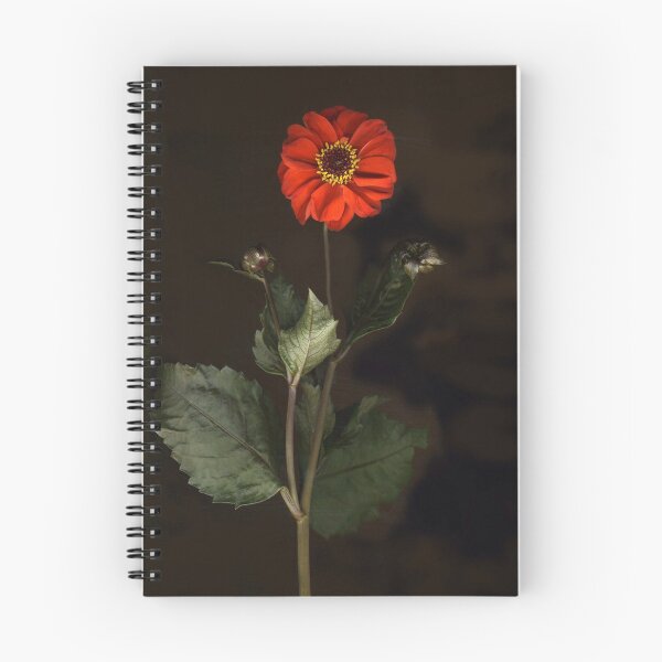 Item preview, Japanese Bishop Dahlia designed and sold by Barbara E Wyeth.