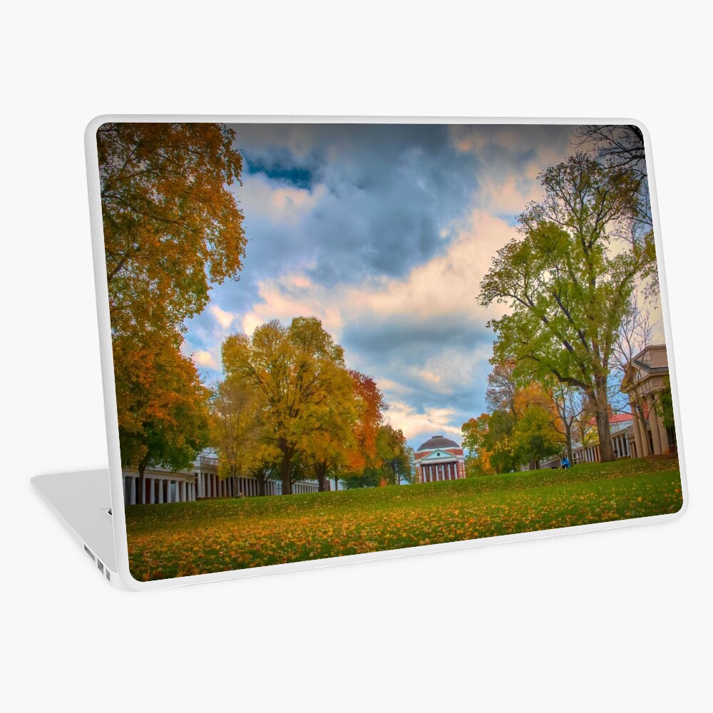 Item preview, Laptop Skin designed and sold by vivsworld.