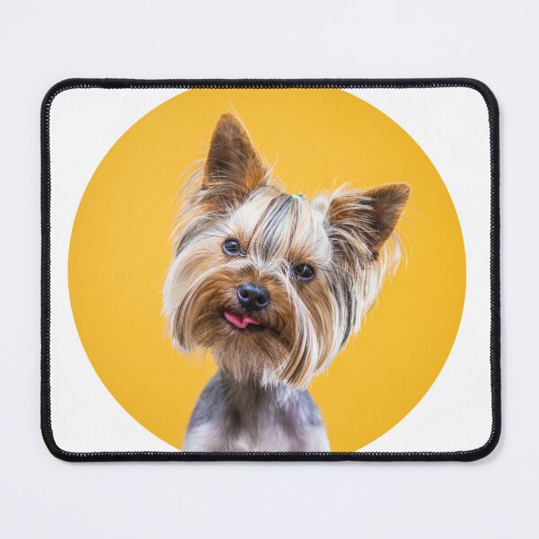 Item preview, Yorkie designed and sold by AljonaSB.
