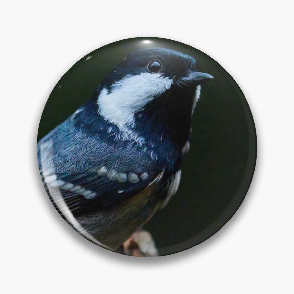 Item preview, The Dark Prince. Coal Tit designed and sold by Jouko Lehto Photography.