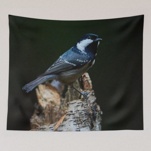 Item preview, The Dark Prince. Coal Tit designed and sold by Jouko Lehto Photography.