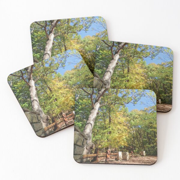 Item preview, Palisades-Kepler State Park #8 designed and sold by Rachel Jeffrey.