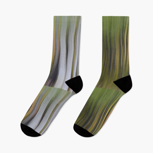 Item preview, White Bark  designed and sold by Whisperingpeaks.