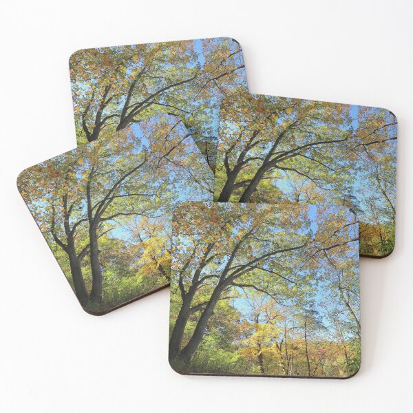 Item preview, Palisades-Kepler State Park #9 designed and sold by Rachel Jeffrey.