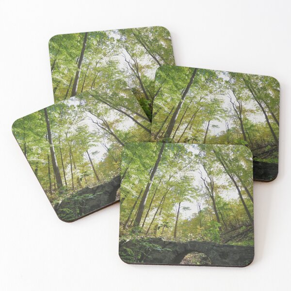 Item preview, Palisades-Kepler State Park #10 designed and sold by Rachel Jeffrey.