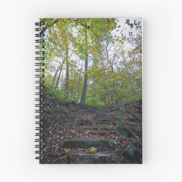 Aperçu de l'œuvre Parc d'État de Palisades-Kepler # 12 créée et vendue par Rachel Jeffrey.