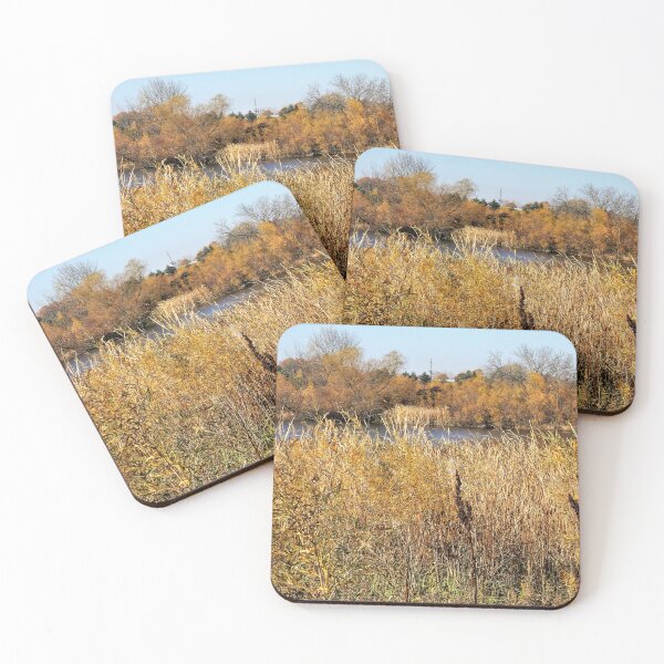 Item preview, The Pond in Autumn designed and sold by Scott and Mary Schneider art_photography.