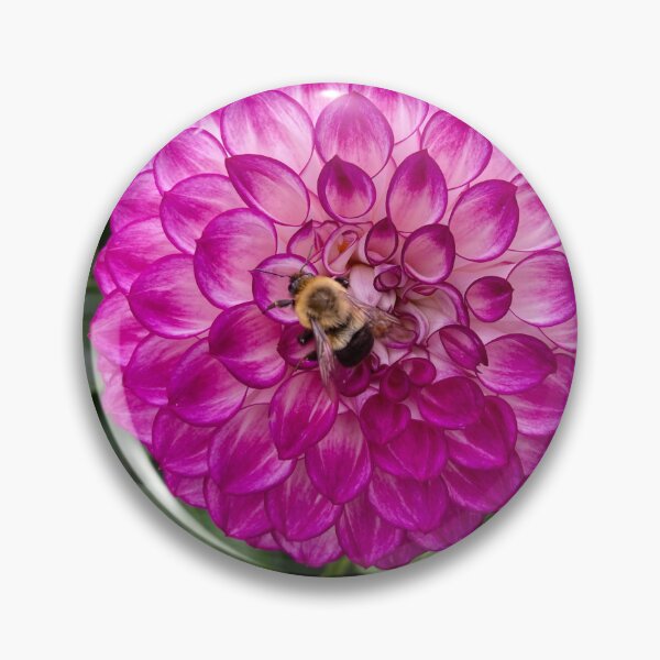 Item preview, Pink dahlia with a bumble bee designed and sold by JuliVogel.