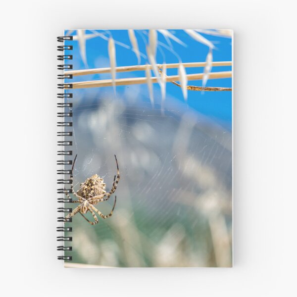 Item preview, Summer Spider designed and sold by GMIKALEF.