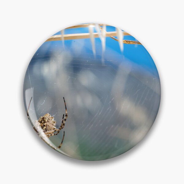 Item preview, Summer Spider designed and sold by GMIKALEF.