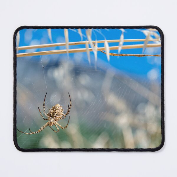 Item preview, Summer Spider designed and sold by GMIKALEF.