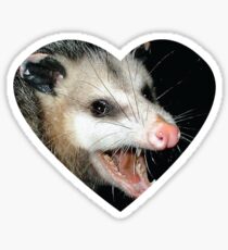 possumcore Sticker