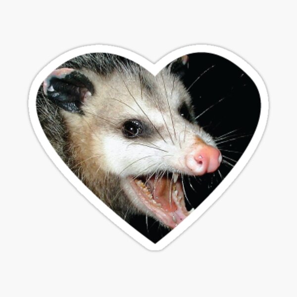 possumcore Sticker