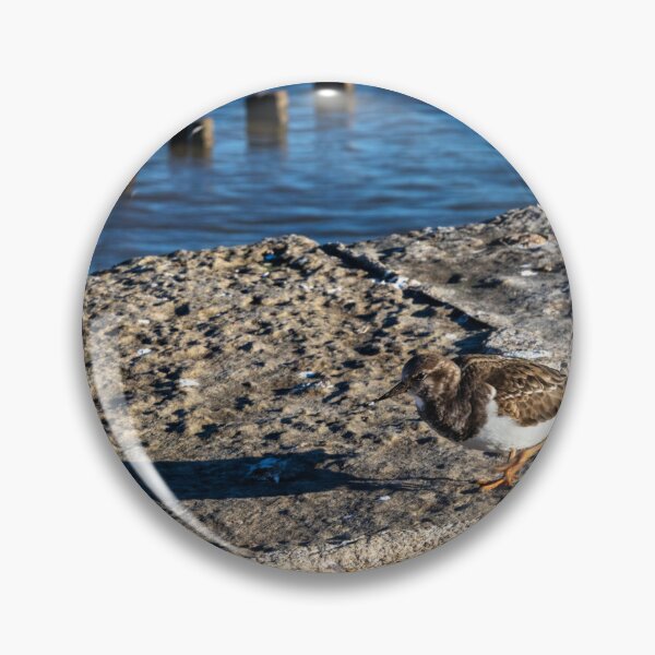 Item preview, Ruddy turnstone designed and sold by jasminewang.