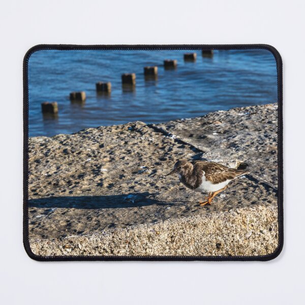 Item preview, Ruddy turnstone designed and sold by jasminewang.