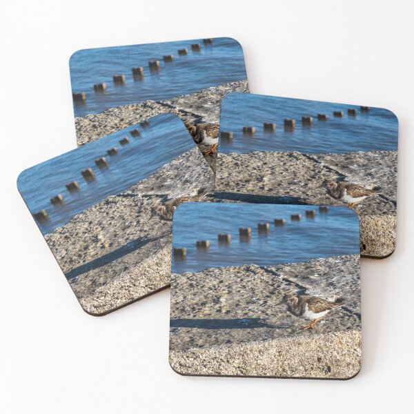 Item preview, Ruddy turnstone designed and sold by jasminewang.