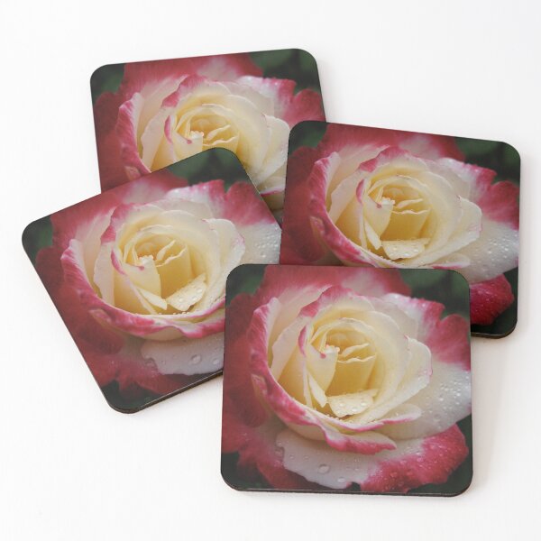 Item preview, Rose with Raindrops Original Photograph  designed and sold by Heatherian.