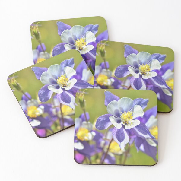 Item preview, Colorado Columbine designed and sold by Rachel Jeffrey.