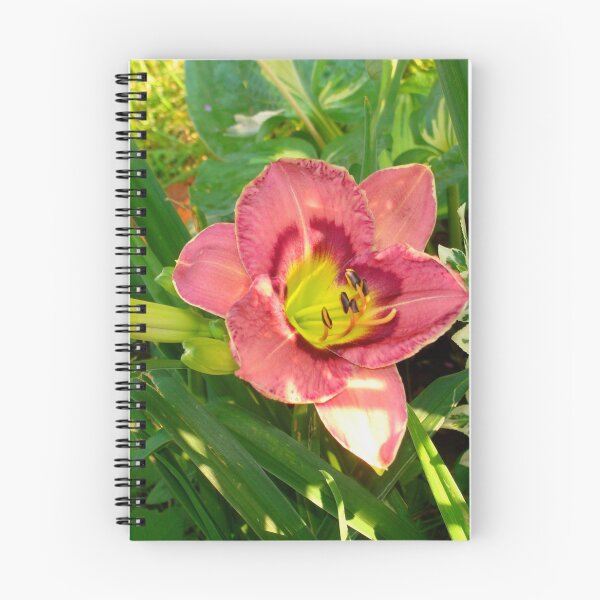 Item preview, Pink Daylily Hemerocallis(Strawberry Candy) designed and sold by Anthony Seeker.