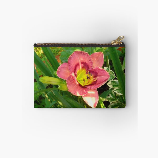 Item preview, Pink Daylily Hemerocallis(Strawberry Candy) designed and sold by Anthony Seeker.