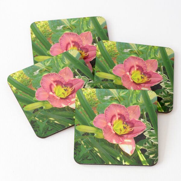 Item preview, Pink Daylily Hemerocallis(Strawberry Candy) designed and sold by Anthony Seeker.
