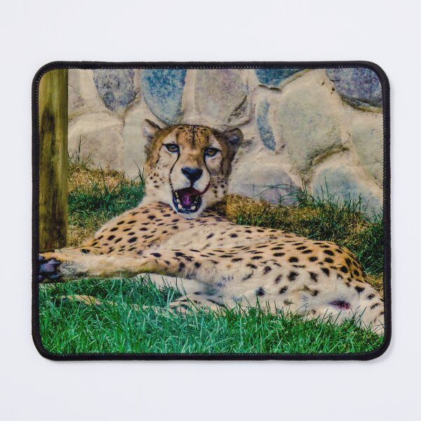 Item preview, Cheetah surprise designed and sold by kcrystalfriend.