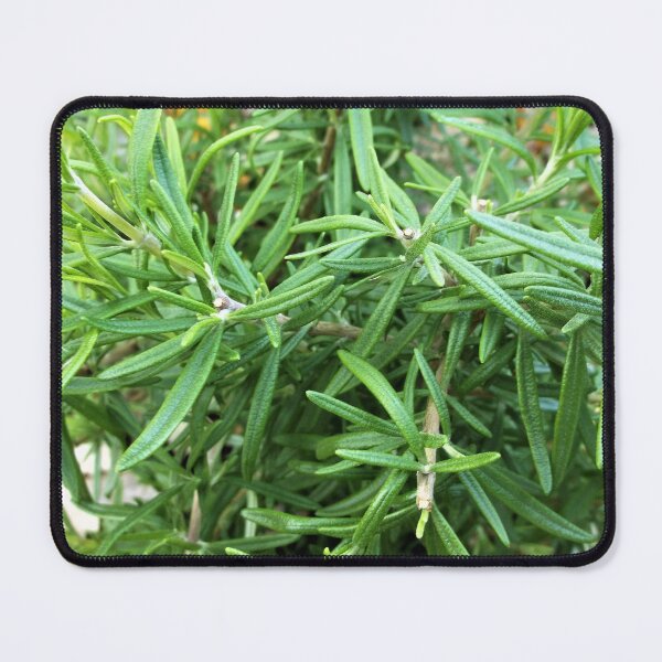 Item preview, Rosemary - Herb designed and sold by Scott and Mary Schneider art_photography.