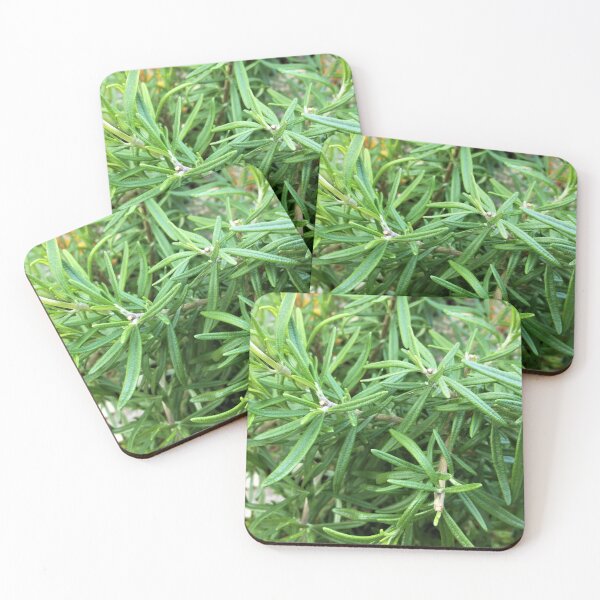 Item preview, Rosemary - Herb designed and sold by Scott and Mary Schneider art_photography.