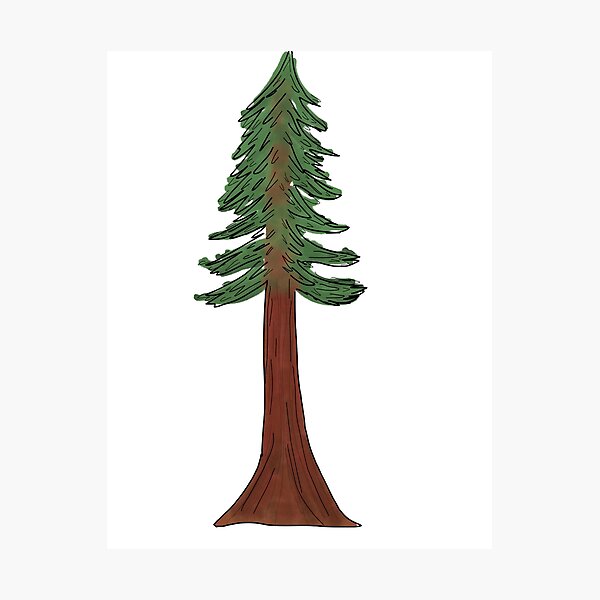 Item preview, California Redwood Tree designed and sold by Rachel-JW.