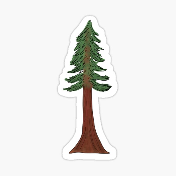 Redwood trees illustration hi-res stock photography and images - Alamy