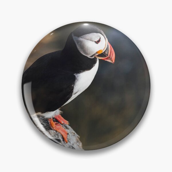 Item preview, Puffins designed and sold by AljonaSB.