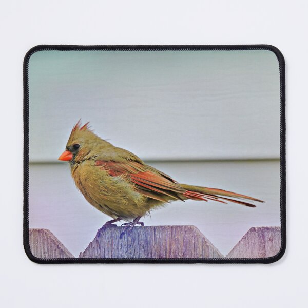 Item preview, Bird Watching  2 designed and sold by kcrystalfriend.