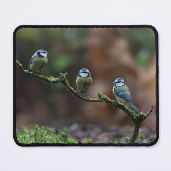 Item preview, Trio of Tits designed and sold by Hans Kool.