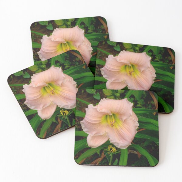 Item preview, Perfect Peach Glory Hemerocallis designed and sold by Anthony Seeker.