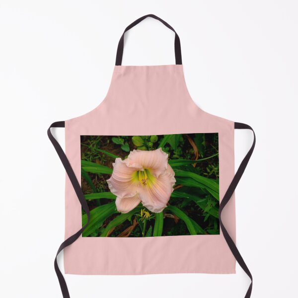 Item preview, Perfect Peach Glory Hemerocallis designed and sold by Anthony Seeker.
