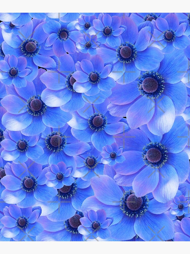 "Blue flowers project for dreamers" Poster for Sale by byOlliart