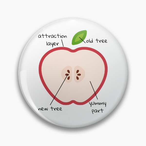 Item preview, Anatomy Of An Apple With Funny Labels designed and sold by st0n0ga.