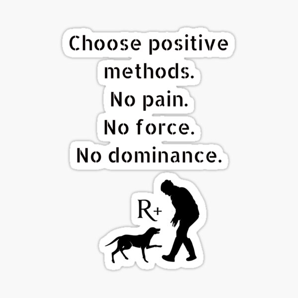 No pain, no force, no dominance Sticker