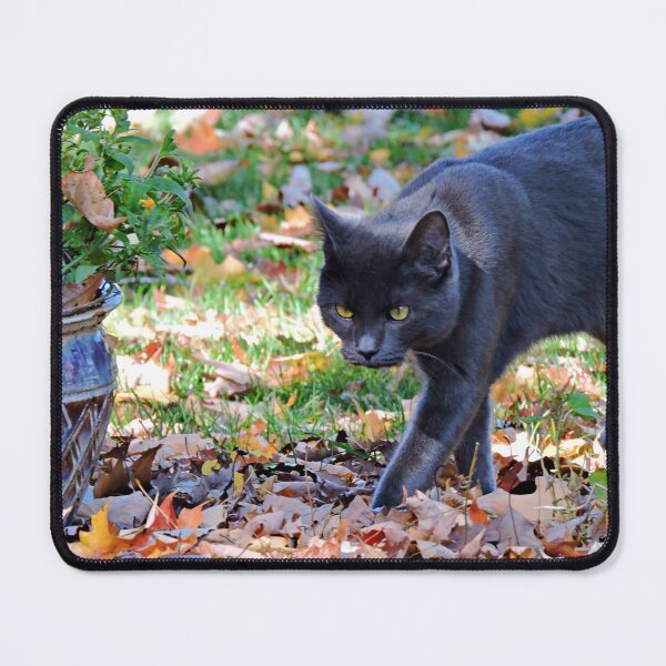 Item preview, I am a Panther designed and sold by kcrystalfriend.