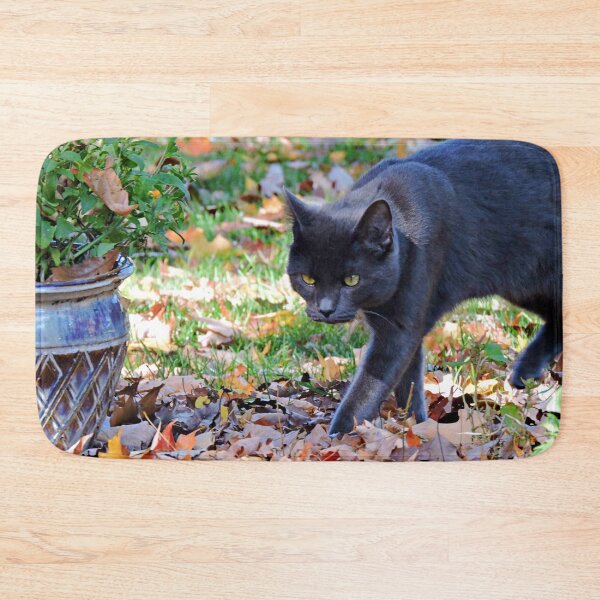 Item preview, I am a Panther designed and sold by kcrystalfriend.