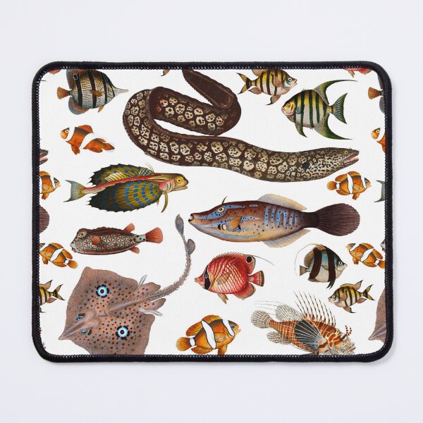 Item preview, Tropical Fish From Colorful Coral Reefs Pattern (white) designed and sold by andydavistech.