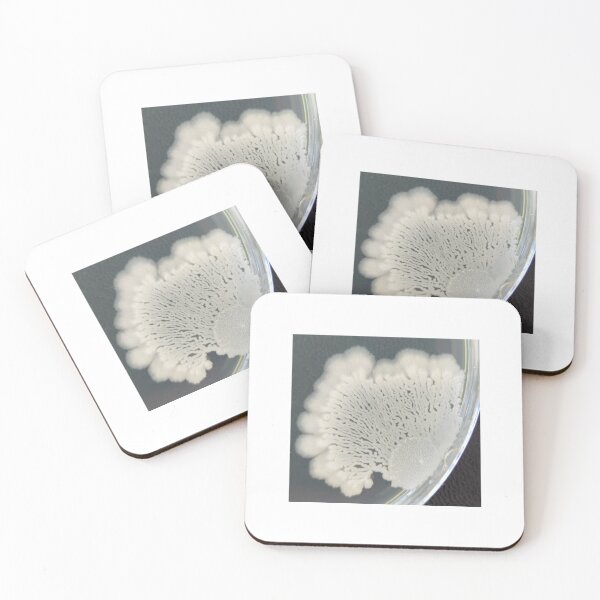Item preview, Branching bacterial colony on PCA designed and sold by Fromthelab.