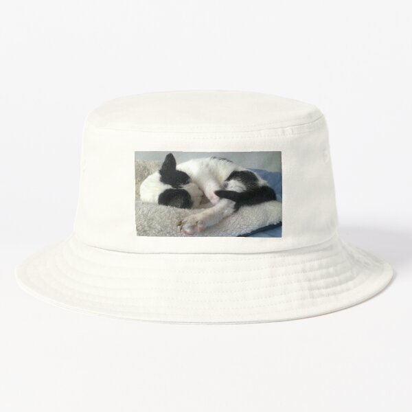 M.I. #261 |☼| Bradley (Cats) Bucket Hat