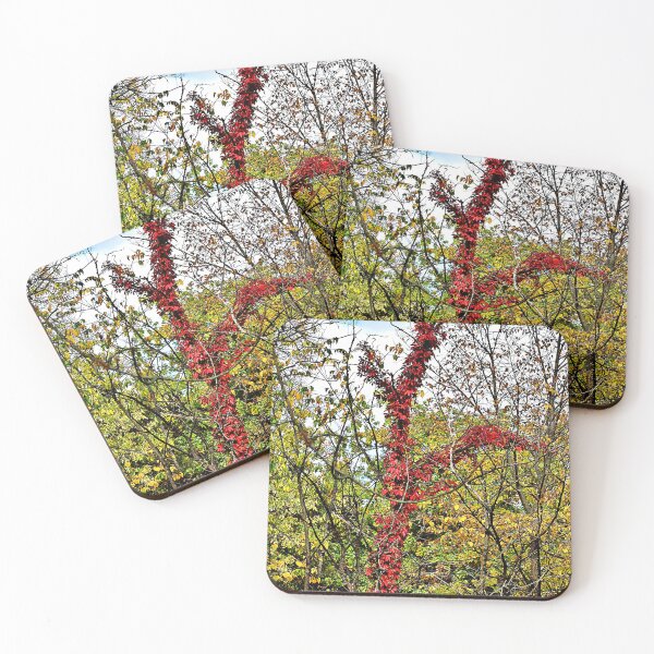 Item preview, Tree Outlined in Red designed and sold by Martha Sherman.